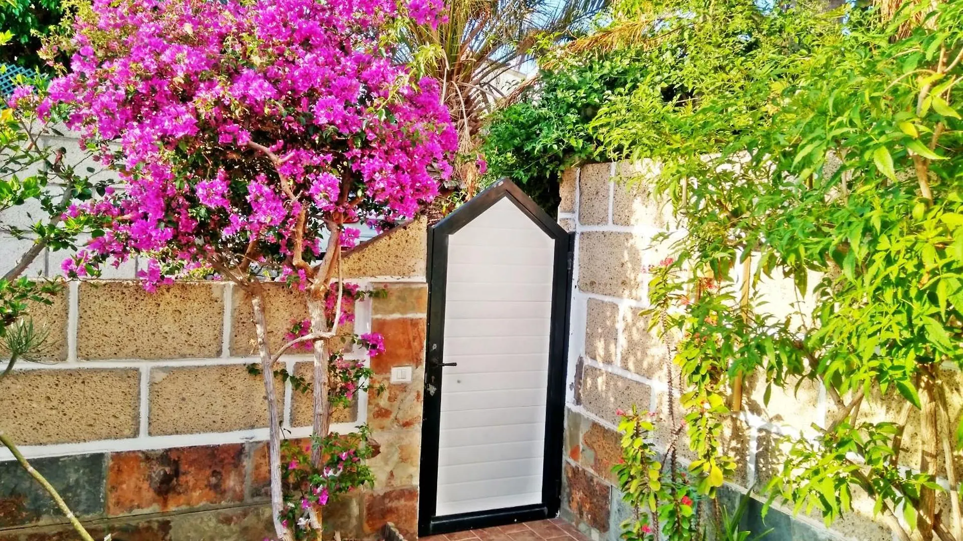 Villa Casa Sarita Chayofa